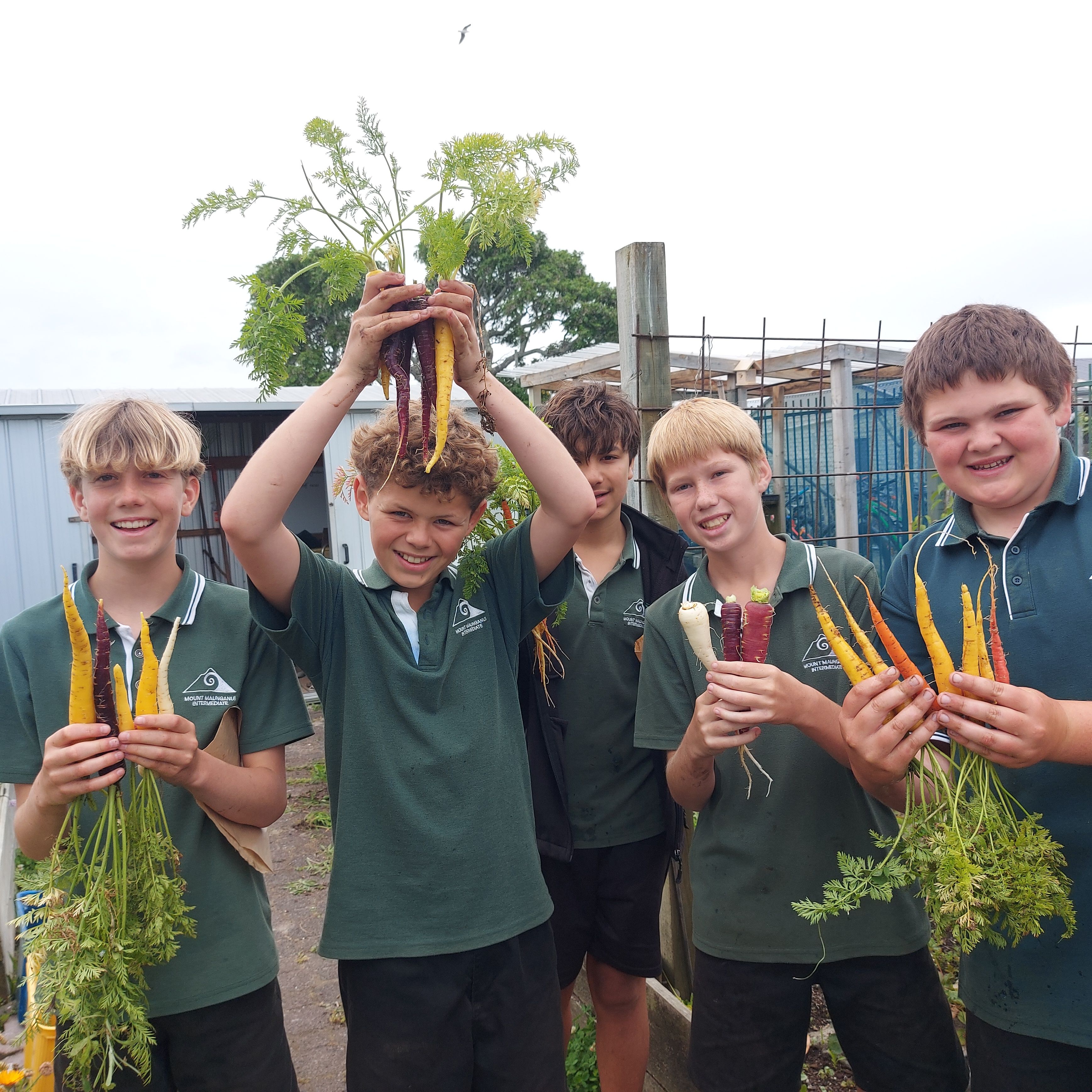 Pips Photo
